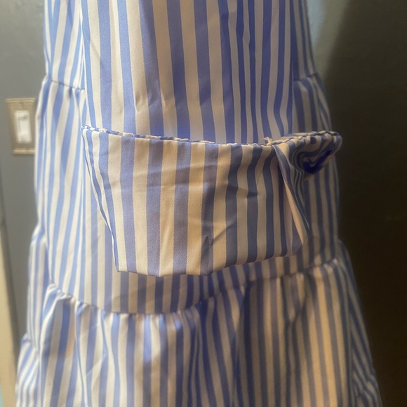 NO LABEL-Blue and White Striped Button Down Dress - Picture 16 of 16